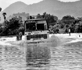 Causes Image